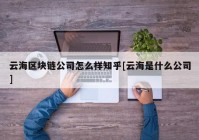 云海区块链公司怎么样知乎[云海是什么公司]